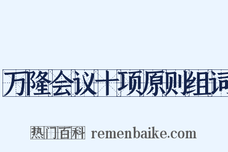万隆会议十项原则组词是什么意思的图片